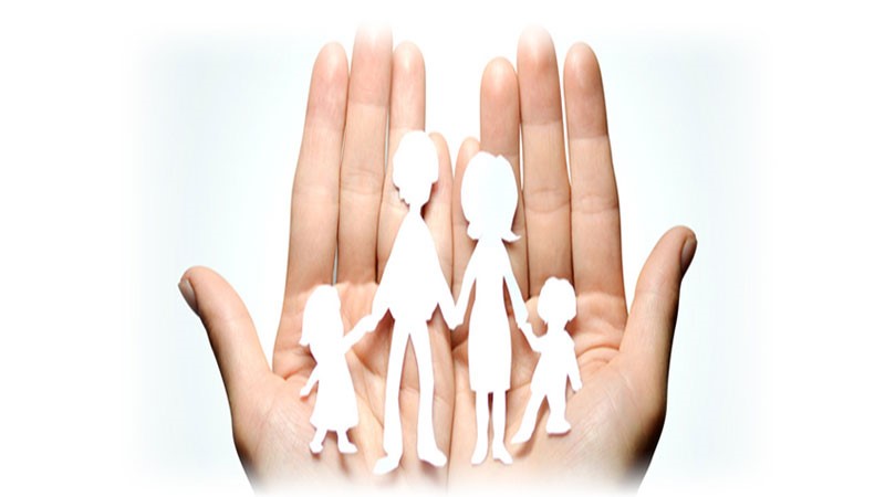 مفهوم ترکه چیست؟