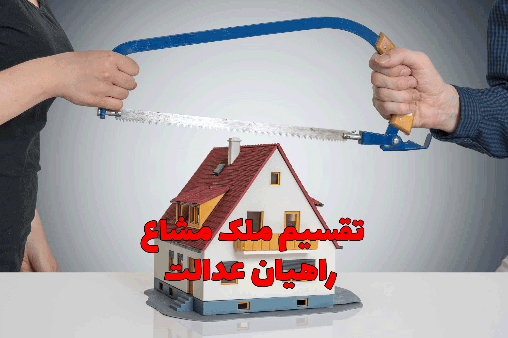 تقسیم ملک مشاع